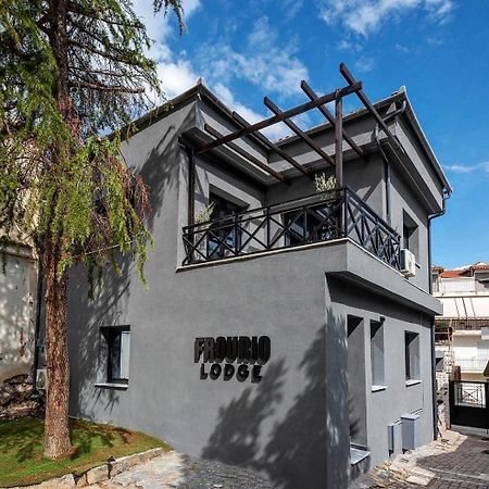 Frourio Lodge Α2 拉里萨 外观 照片